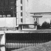 233707148_3961058674021529_7313597838945249495_n